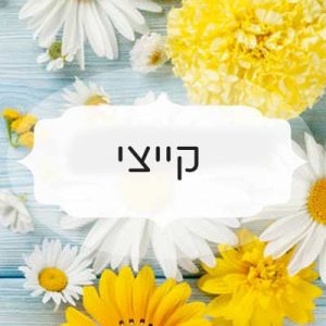 קייצי