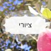 ציורי