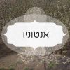 אנטוניו