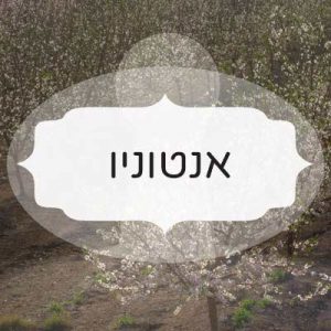 אנטוניו