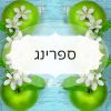 ספרינג