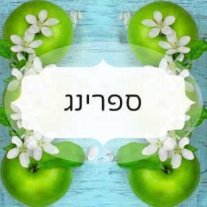 ספרינג