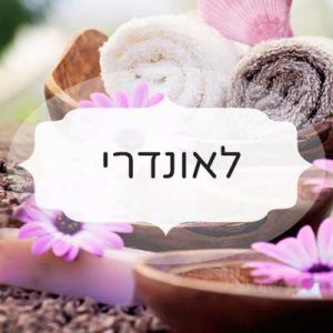 לאונדרי