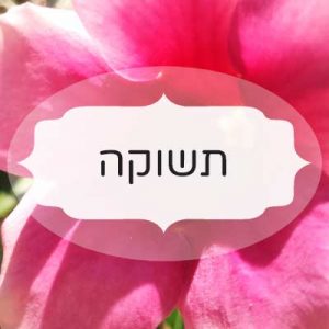 תשוקה