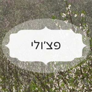 פצ'ולי