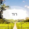 רוד