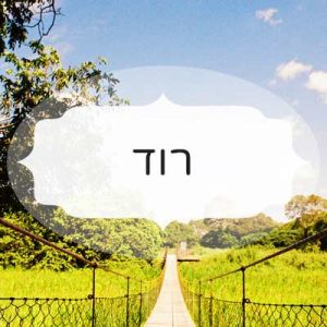 רוד