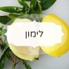 לימון