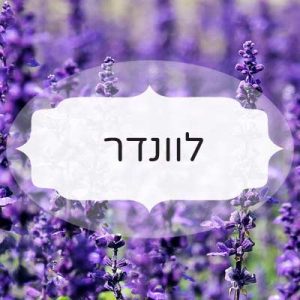 לוונדר