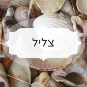 צליל