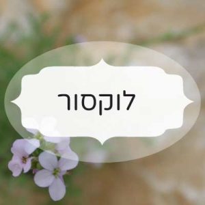 לוקסור