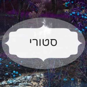 סטורי
