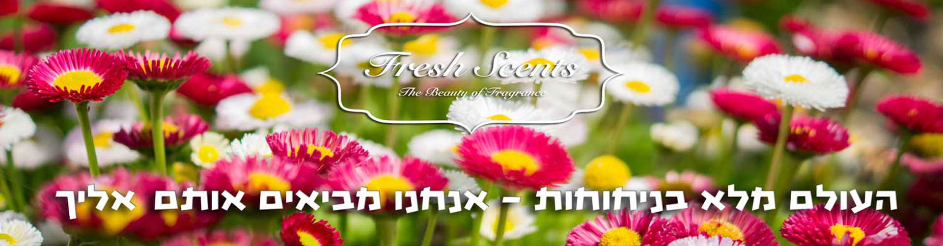 צור קשר
